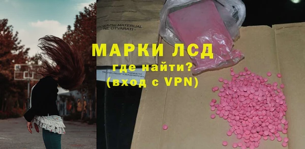 гидра Новозыбков