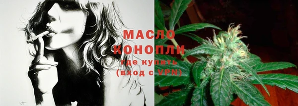гидра Новозыбков