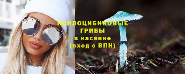 Альфа ПВП Новокубанск