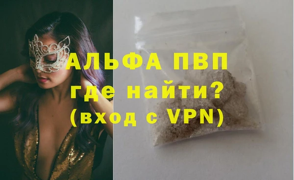 гидра Новозыбков