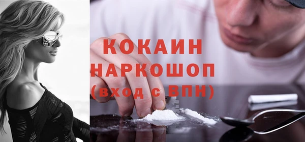 гидра Новозыбков
