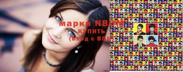 гидра Новозыбков