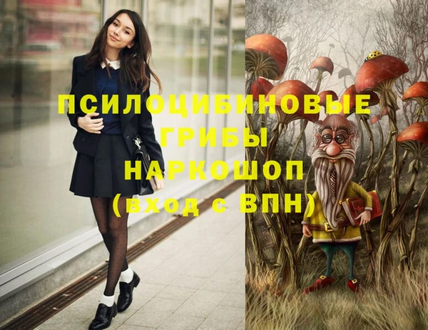Альфа ПВП Новокубанск