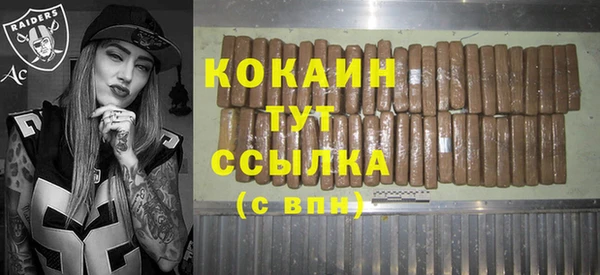 гидра Новозыбков