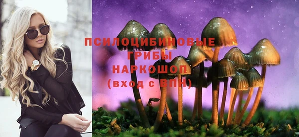 Альфа ПВП Новокубанск