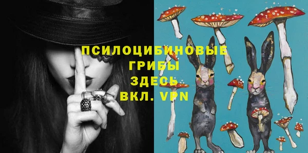 герыч Новодвинск