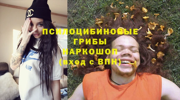 гидра Новозыбков